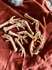 Dehydrated Chicken Feet for Dogs