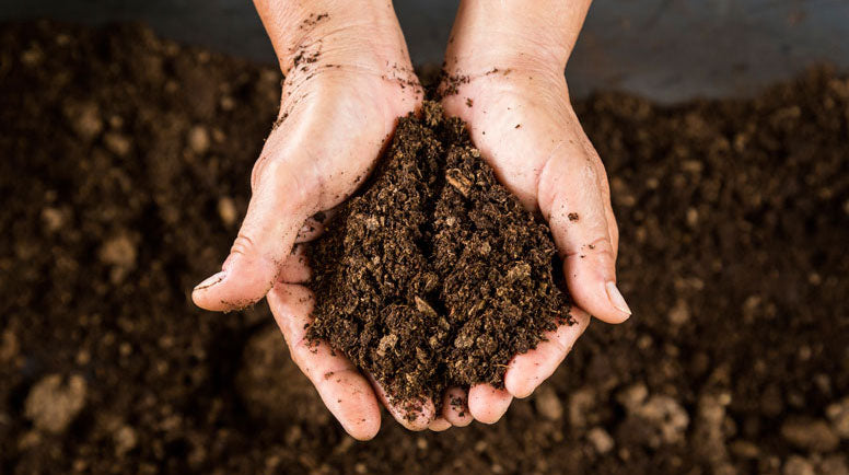 Meat that's good for the SOIL and good for YOU!!