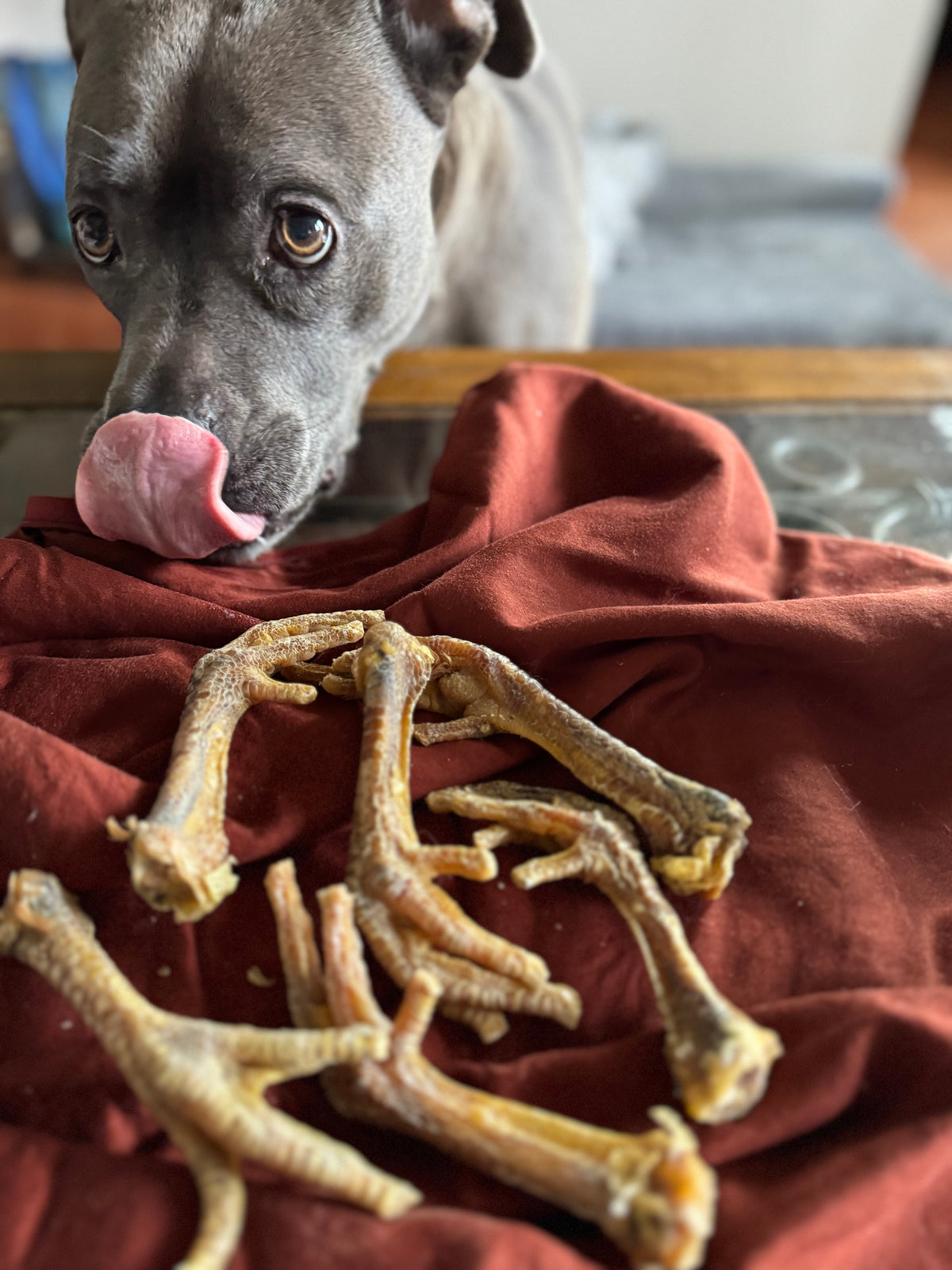 Dehydrated Chicken Feet for Dogs